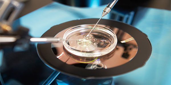 Meaning Of Assisted Reproductive Technology