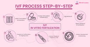 Guidelines To Selecting The Best IVF Method For Optimal Fertility Treatment Outcomes
